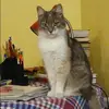 Отзыв от Наталья Новикова